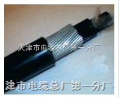 铠装阻燃通信电缆hya22与控制电缆的深度解析